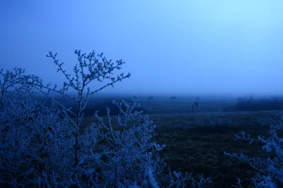 DSC_1027 (Large).JPG